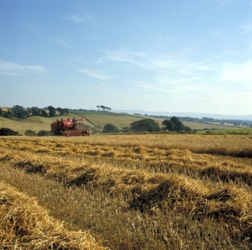 Harvesting Bedfordshire, Credit Britainonview