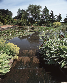 The Top Pond at RHS Garden Hyde Hall