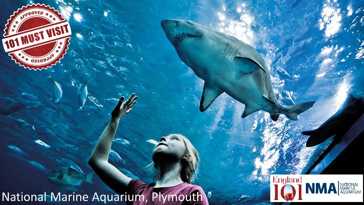 National Marine Aquarium Plymouth England