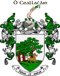 O'CALLAGHAN family crest