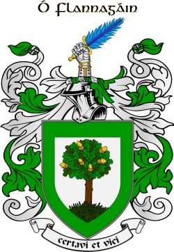 O'FLANAGAN family crest