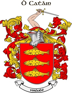 ocain family crest ocain family crest