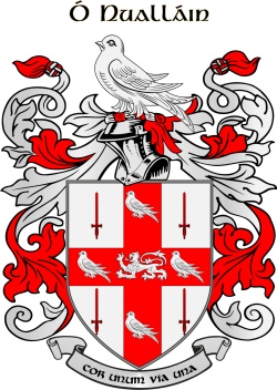nolan family crest nolan family crest