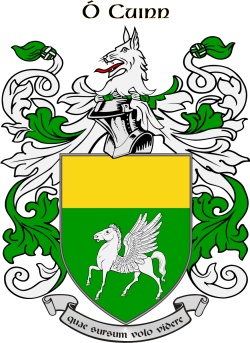 QUINN family crest